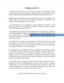 Exportacion de Guanabana a Alemania