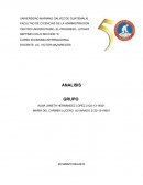 EL COMERCIO NORTE-SUR Y LA DESIGUALDAD DE LA RENTA