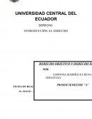 10 ejemplos de derecho objetivo y derecho subjetivo