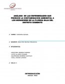 ANÁLISIS DE LAS ENFERMEDADES QUE PRODUCE LA CONTAMINACION AMBIENTAL A LOS MORADORES DE LA FLORIDA BAJA DEL DISTRITO CHIMBOTE