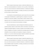 Relacion humano-animal