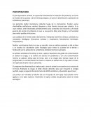 Postoperatorio Ruminotomia Vacas