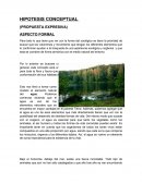 Hipótesis conceptual.