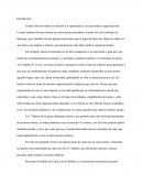 Ensayo los 7 habitos