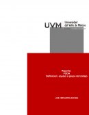 Foda definicion grupo o equipo de trabajo