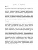 CONTROL DEL PROYECTO