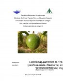 Cátedra practica de campo III