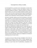 Farmacogenómica: medicina la medida.