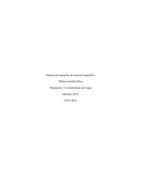 Sistema de transporte de material especifico.