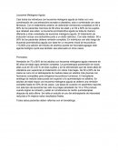 Leucemia Mielogena Aguda