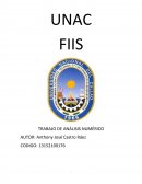 Trabajo de Aalisis Numerico Problemas y Teoria