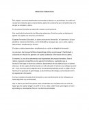 Tema: Procesos Formativos