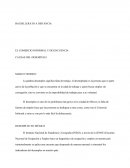 EL COMERCIO INFORMAL Y DELINCUENCIA CAUSAS DEL DESEMPLEO