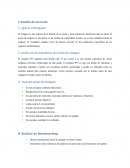 I. Estudio de mercado- Aceite de oregano