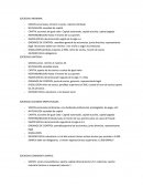 TRABAJO DE SOCIEDAD ANÓNIMA