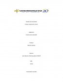 Ensayo corporación y home