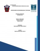 BRUCELLA MELITENSIS.