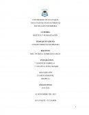 El consentimiento informado (CI), es un documento de carácter ético - legal mediante el cual una persona acorde a su capacidad de comprensión