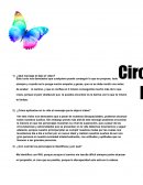 ¿Qué mensaje te dejo el video?