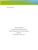 Nombre de la Asignatura Riles y Rises Emisiones gaseosas.