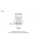 Foro Momento No.2: Trabajo colaborativo 1