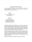 RESUMEN EJECUTIVO DEL BANGUAT.