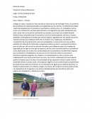 Desarrollo sostenible - Diario de campo.