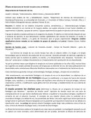 Resumen de investigacion en voz