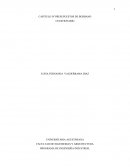 CAPITULO IV PRESUPUESTOS DE BURBANO CUESTIONARIO