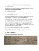 INFILTRACIÓN DE UNA CUENCA HIDROGRÁFICA