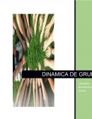 Dinamicas de grupos.