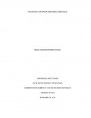 Administracion ambiental y de los recursos naturales