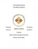 Donacion de organos intervivos en Mexico