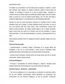 Rendimiento laboral.