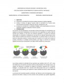 Laboratotio enzima catalasa.
