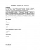 INFORME DE LA VISITA A LOS HUMEDALES