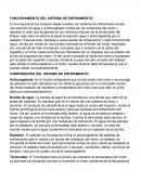 FUNCIONAMIENTO DEL SISTEMA DE ENFRIAMIENTO.