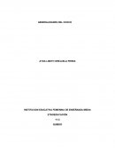 Generalidades del Chocó.