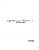 Ensayo Trato de los Reclusos