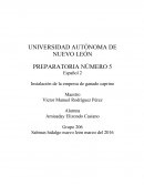 Diversidad de alimentación para consumo humano