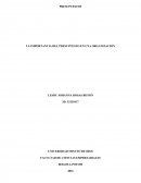 LA IMPORTANCIA DEL PRESUPUESTO EN UNA ORGANIZACION