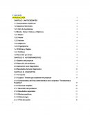 Proyecto Empresarial.