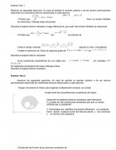 Guía de Trabajos Prácticos de Análisis Matemático.