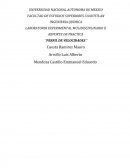 REPORTE DE PRACTICA “PERFIL DE VELOCIDADES “