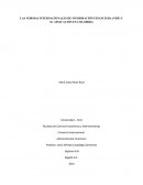 LAS NORMAS INTERNACIONALES DE INFORMACIÓN FINANCIERA (NIIF) Y SU APLICACIÓN EN COLOMBIA