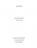 Ciencias Sociales y Humanas Electiva Profesional V