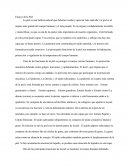 Ensayo de la Piel
