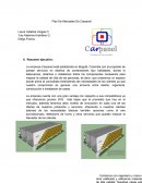 Plan De Mercadeo De Carpanel