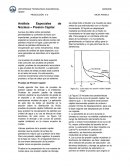Analistas Especiales de Nucleos.
