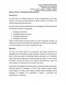 Ensayo “Estrategias de Mercadotecnia”